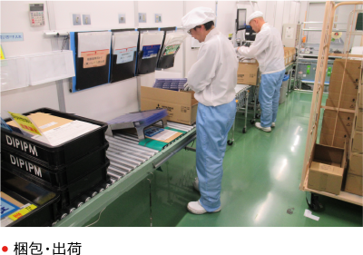 梱包・出荷